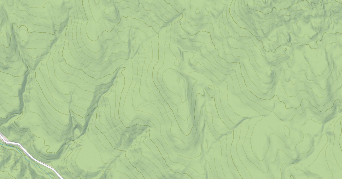 Map preview of USFS Motor Vehicle Use Map Roads {4CF121C9-3C50-40CF-9D9C-3257CAFF4763}