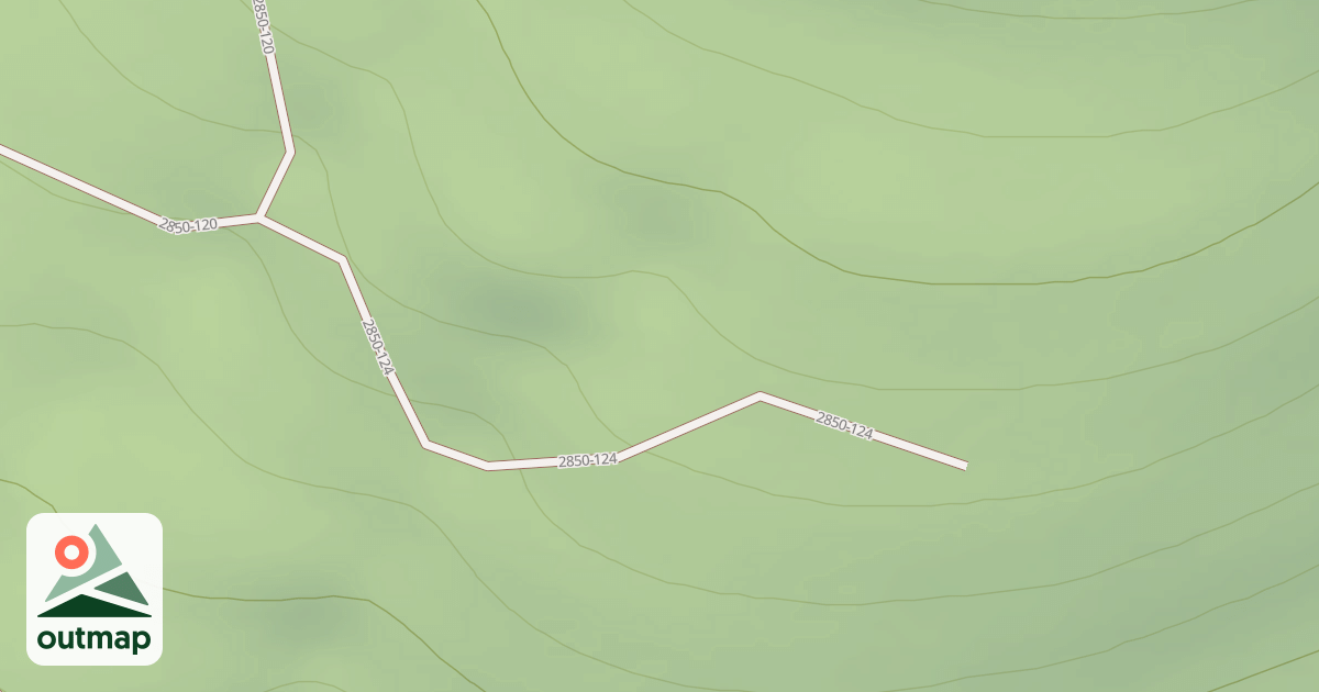 Map of USFS National Forest System Roads {23D159FD-EF59-4FF6-B22F-BA8FF4233ACD}