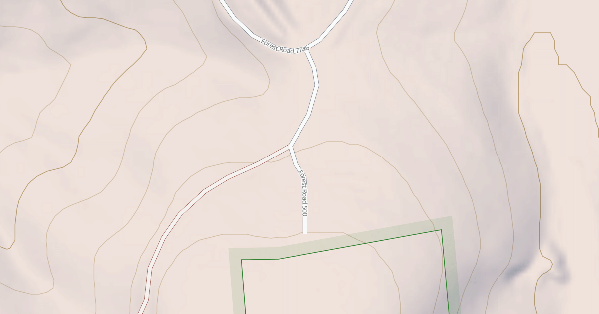 Map preview of USFS National Forest System Roads {0E4F799D-8945-4E0A-84BE-1771582126C6}
