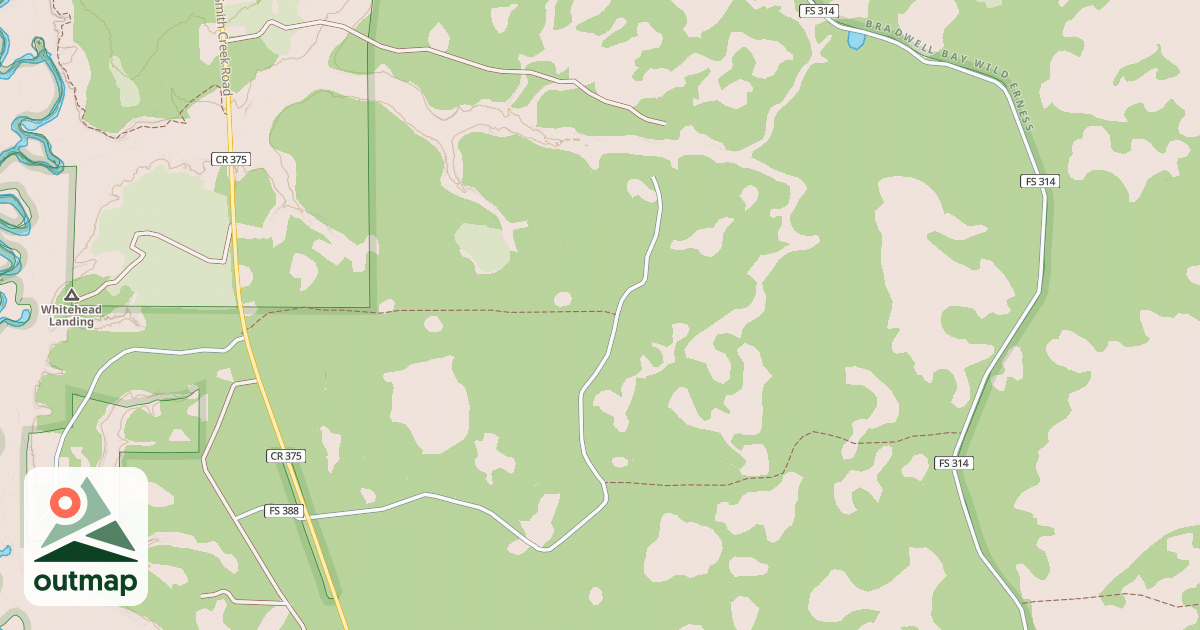 Map of USFS National Forest System Roads {79F02D29-502B-4346-86DE-42F067F25B01}