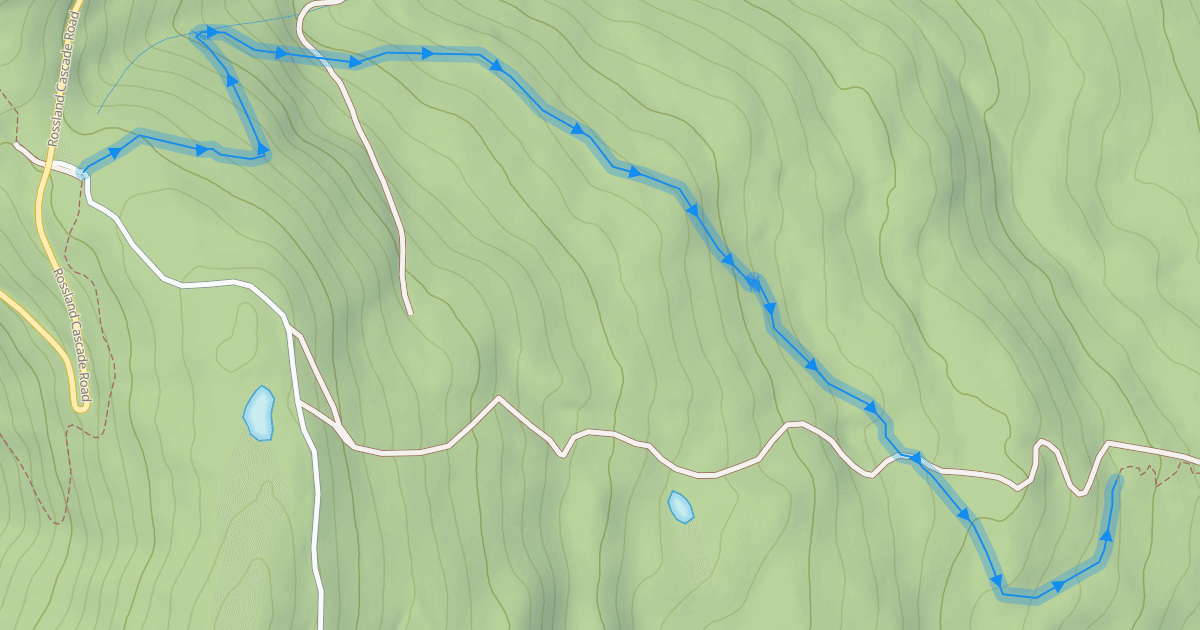Map preview of Dewdney Frontside