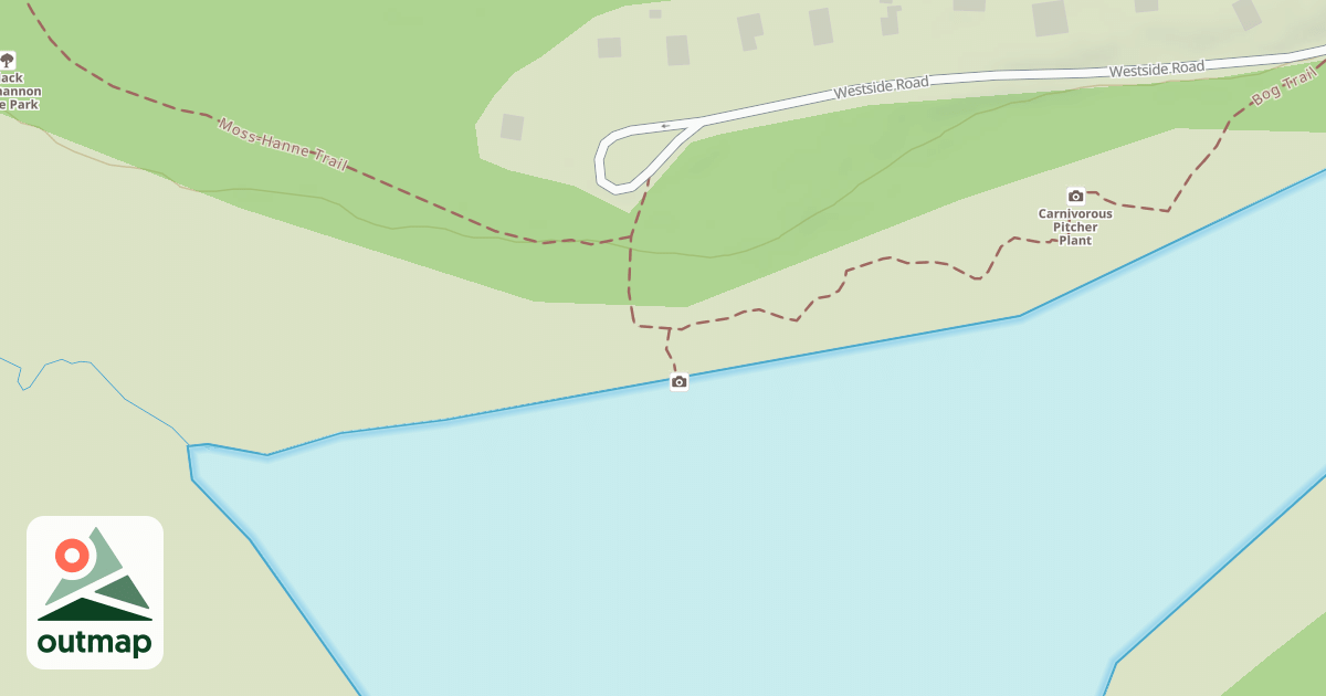 Map of Black Moshannon State Park Trails