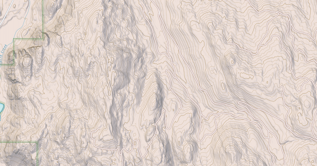 Map preview of USFS Motor Vehicle Use Map Roads {54D07D57-C015-4ED6-AF26-3248B88EDD05}