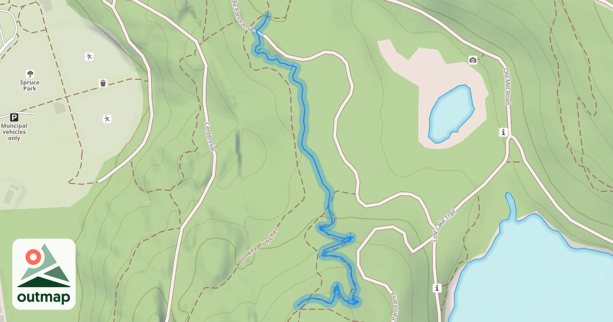 Map of Pinocchio's Furniture