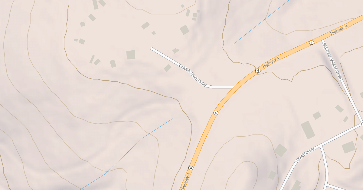 Map preview of USFS National Forest System Roads {4FFECED8-6143-43ED-9209-FA1F10481839}