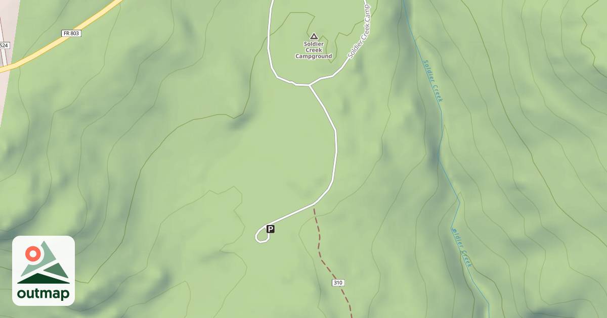 Map of USFS National Forest System Roads {D0055F89-20DB-4FEA-B35E-9F9C68C005BA}