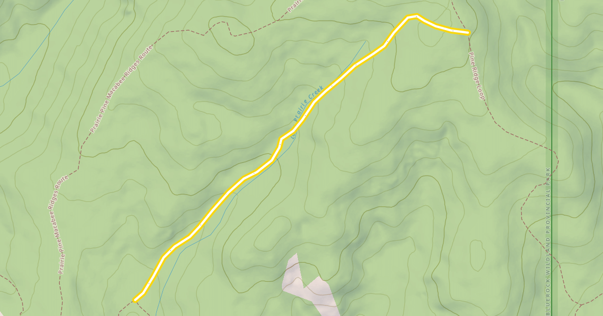 Map preview of Balsam Link
