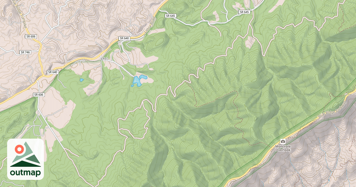 Map of PULASKI TRACT