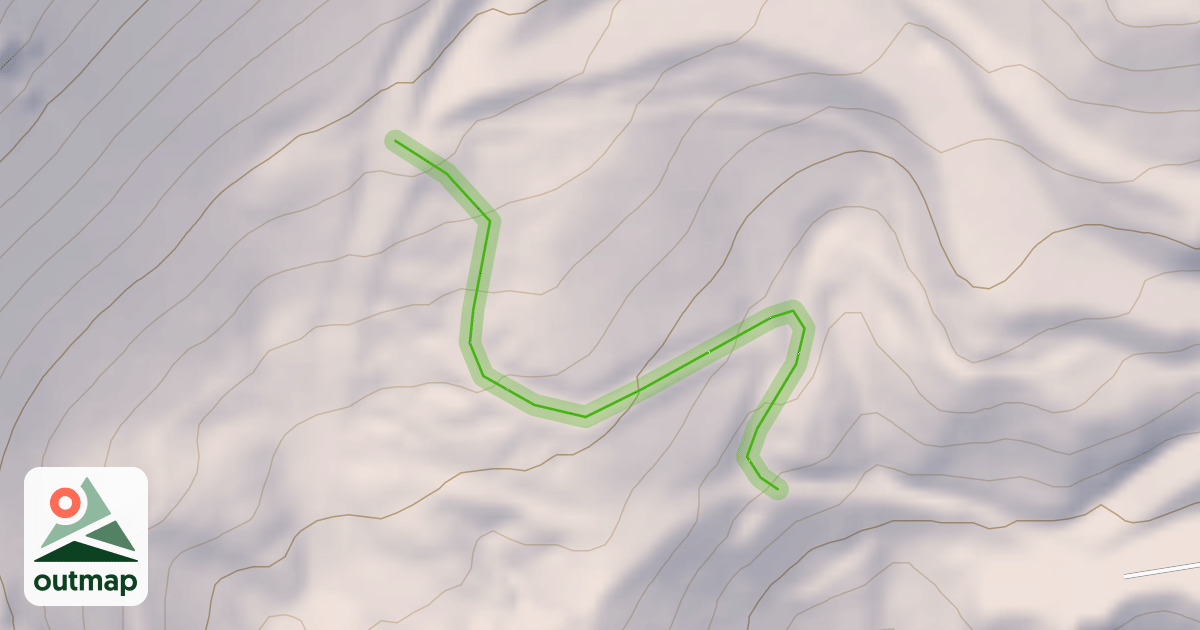 Map of Back Paddock