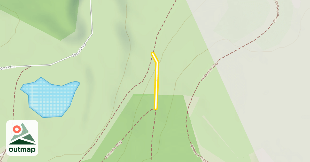 Map of Arlene's Way