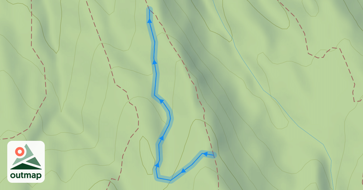 Map of Cougar Ridge Trail