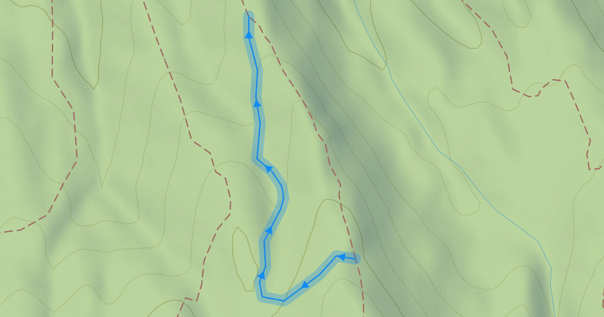 Map preview of Cougar Ridge Trail
