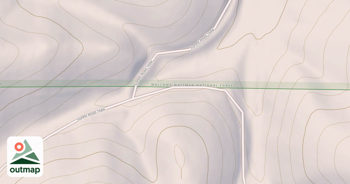 Map of USFS National Forest System Roads {91F2D029-937B-4388-A512-10D7B6D0A0CF}