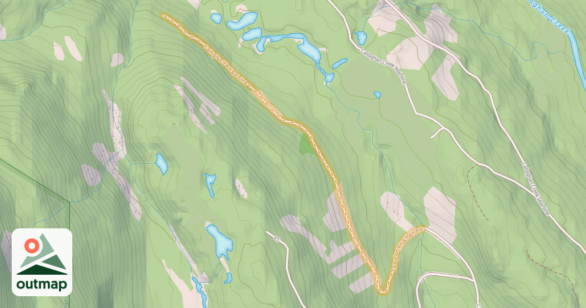 Map of Callaghan West Mainline