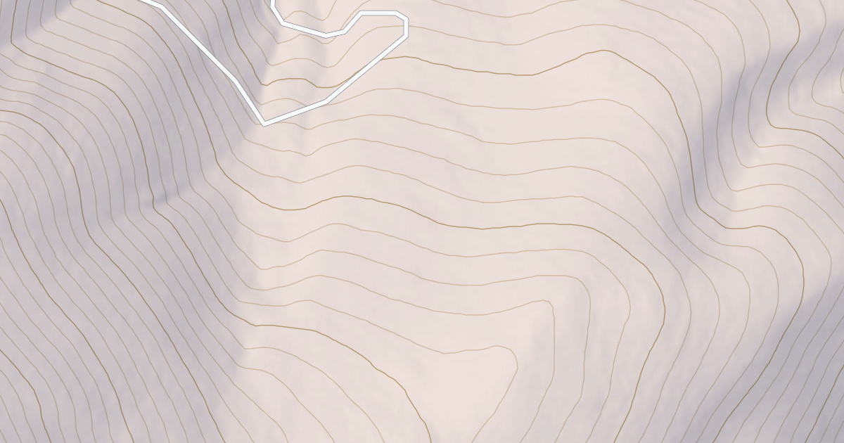 Map preview of USFS National Forest System Roads {9D36A976-BC6D-4747-89F3-4EE9FBF3070D}
