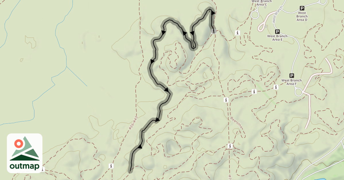 Map of Roller Coaster