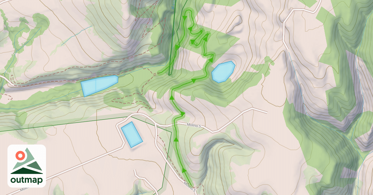 Map of Huyya (Tree) Trail East