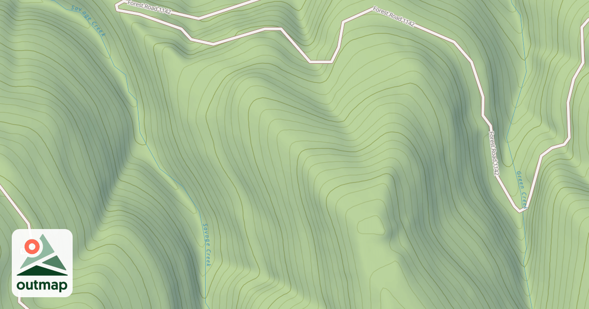 Map of SAVAGE CREEK RD