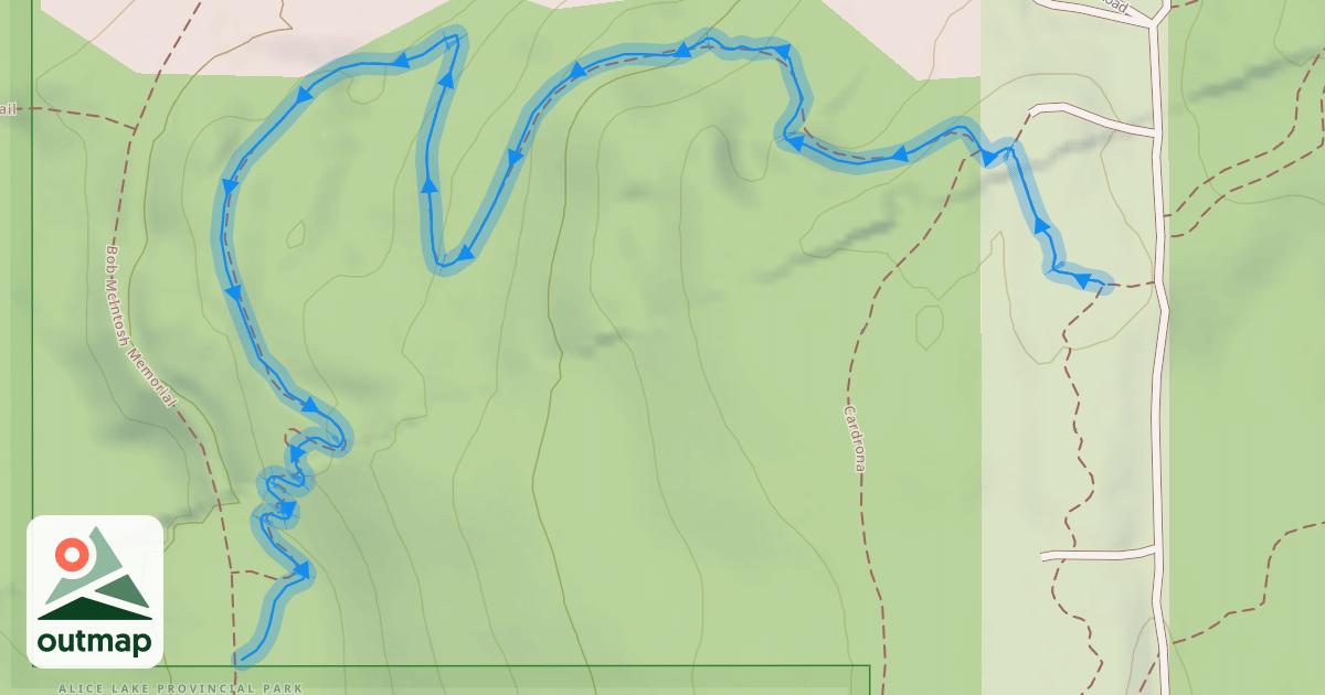 Map of Man Boobs