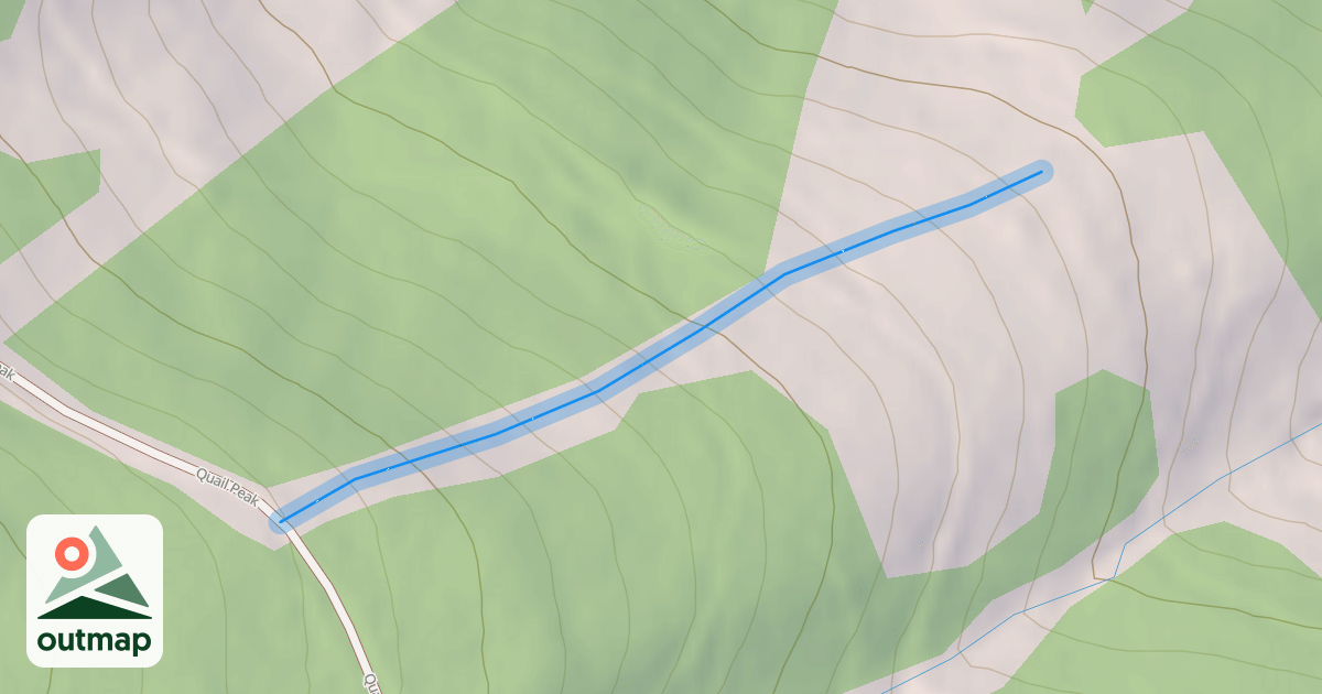 Map of Hidden Vein