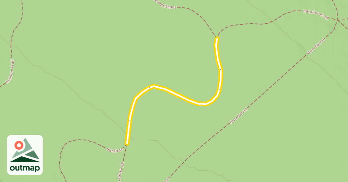 Map of Cataline Dog