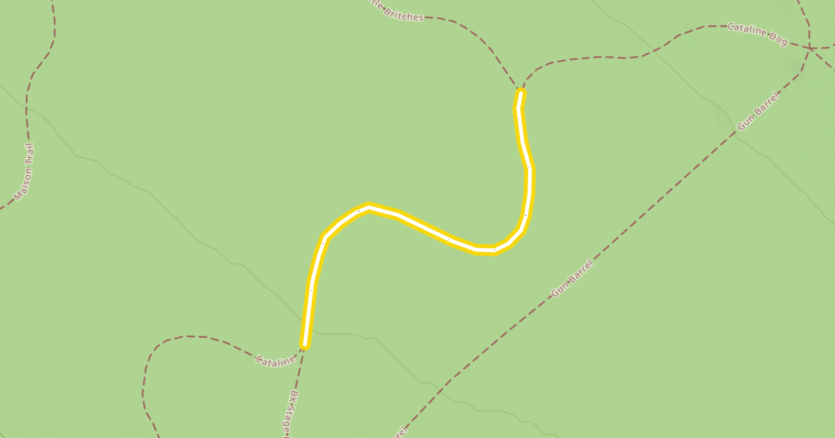 Map preview of Cataline Dog