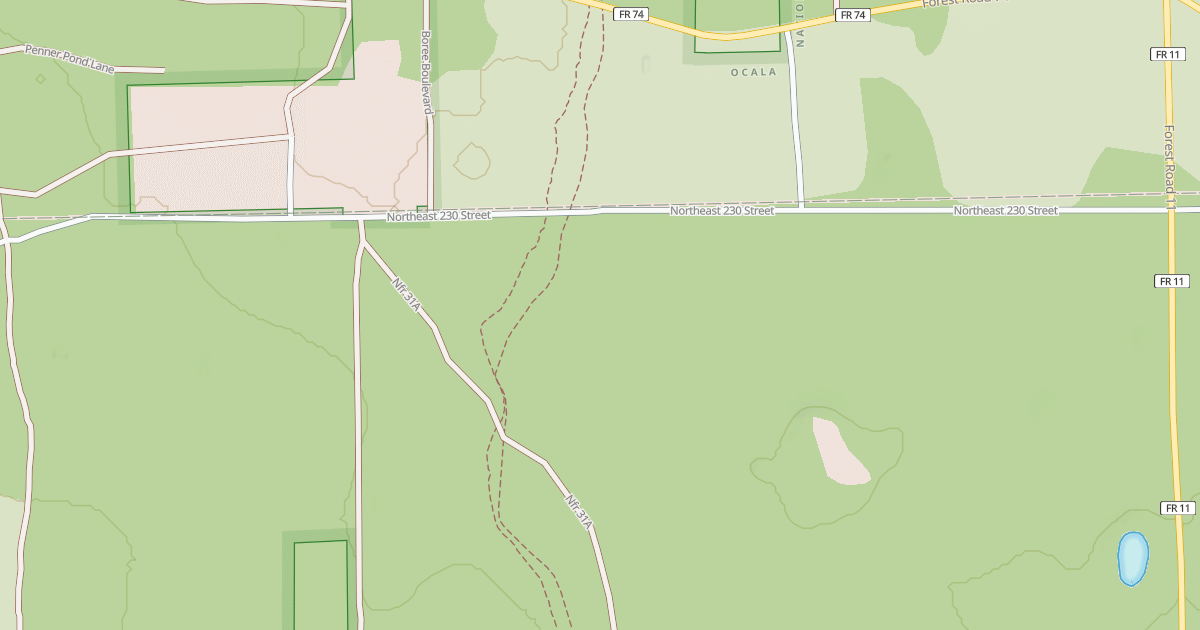 Map preview of USFS Motor Vehicle Use Map Roads {20290A1F-1789-4758-B0FF-94BAFD703FB6}