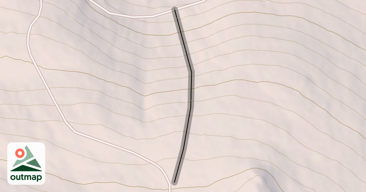 Map of Rogue