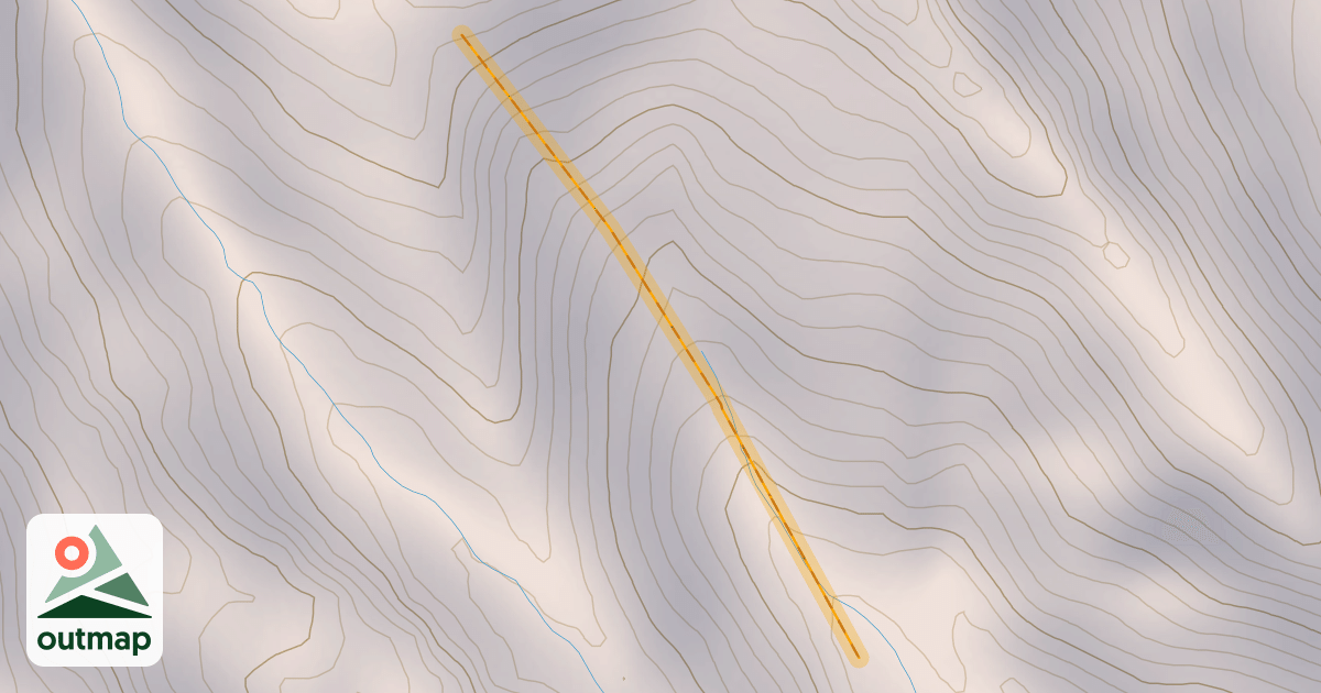 Map of Bird Bowl