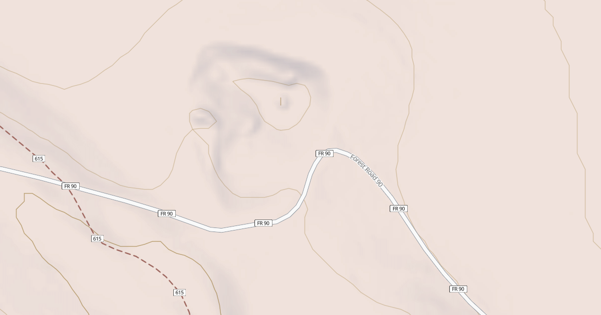 Map preview of USFS National Forest System Roads {A0E2ABCE-BACB-4230-8568-91BD15DD84E1}