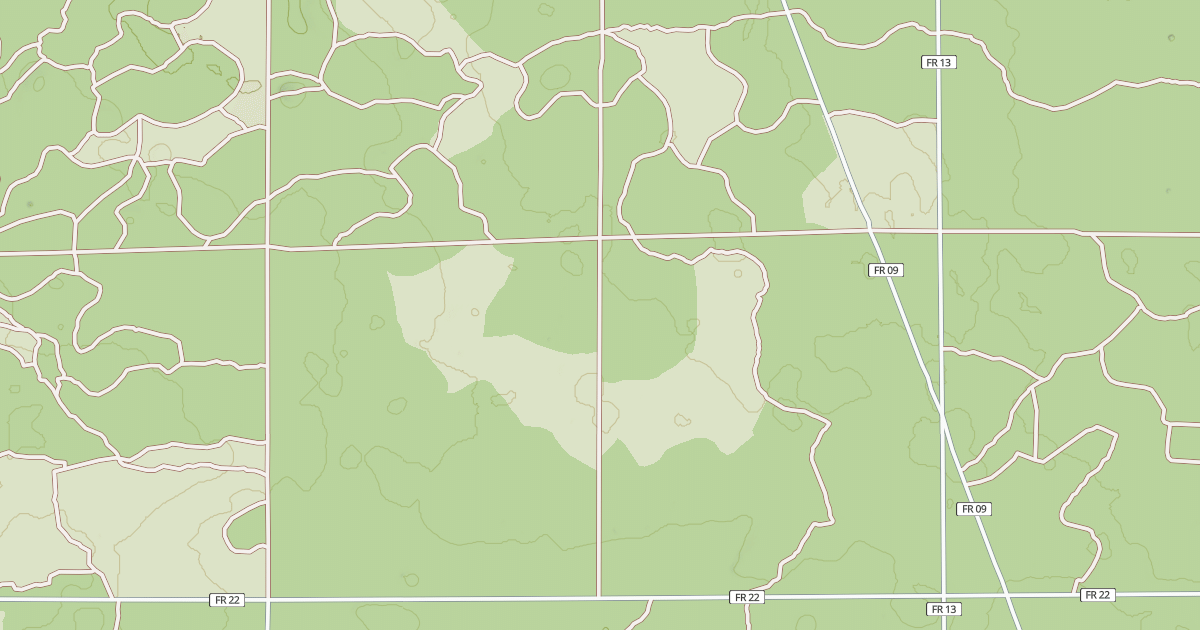 Map preview of USFS Motor Vehicle Use Map Roads {10F63BDC-C159-42A7-A3B4-EC6AD07F42D2}