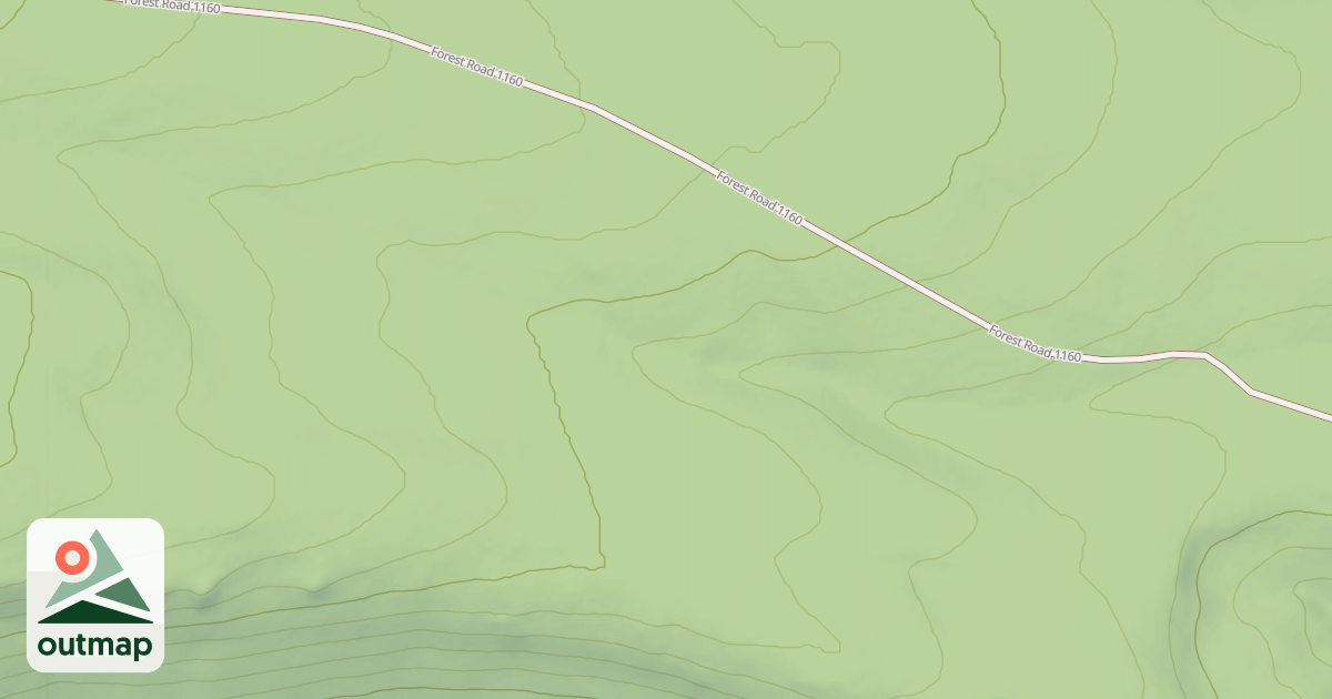 Map of USFS Motor Vehicle Use Map Roads {31254CC1-70AC-49DF-A8B8-C2D602935126}