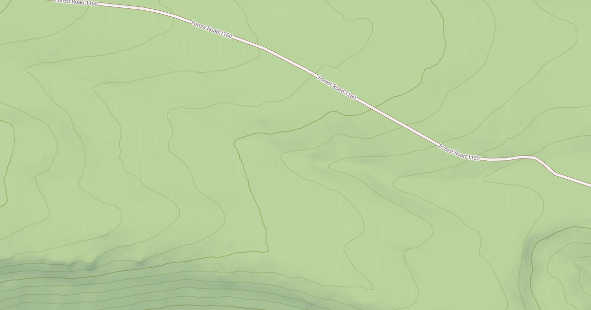 Map preview of USFS Motor Vehicle Use Map Roads {31254CC1-70AC-49DF-A8B8-C2D602935126}
