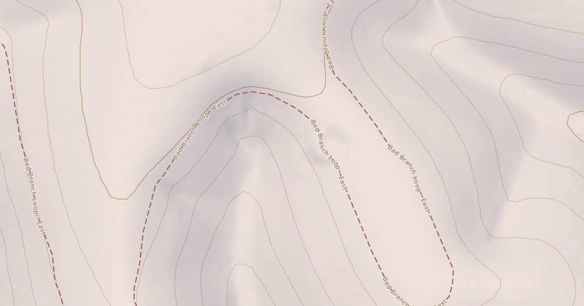 Map preview of USFS Motor Vehicle Use Map Roads {36B2BBF8-FE76-49EB-9F31-CFFCA3944AC2}
