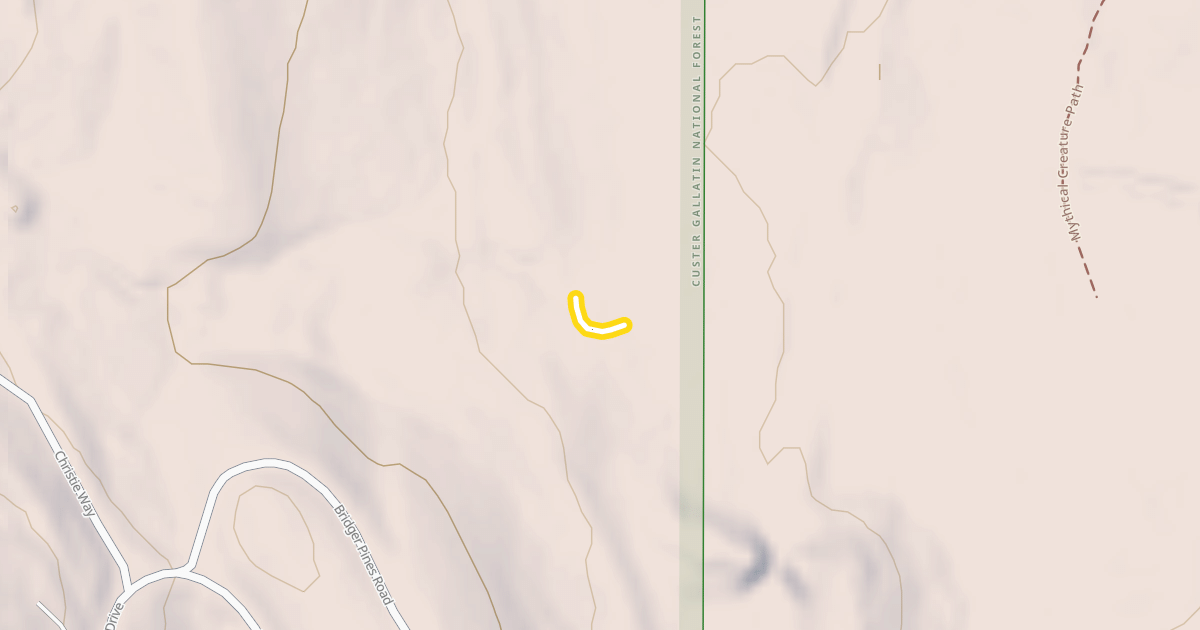 Map preview of Dr Scholl's Size 8