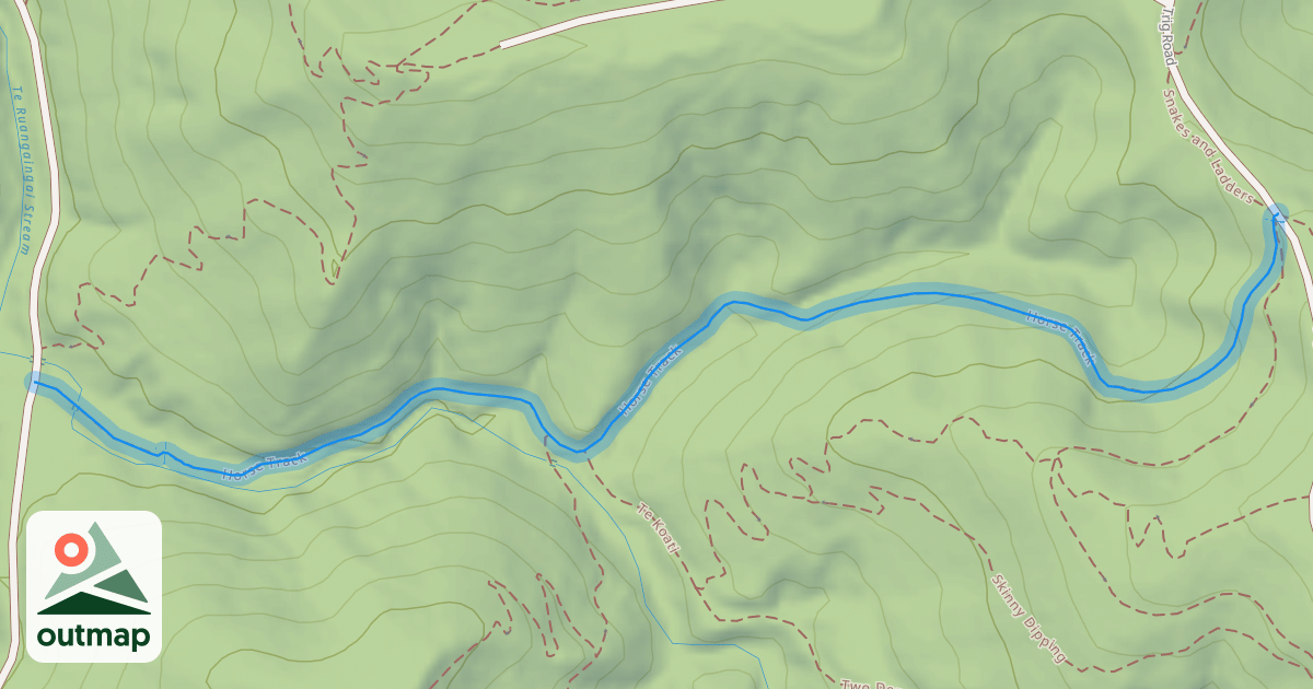 Map of Horse Track