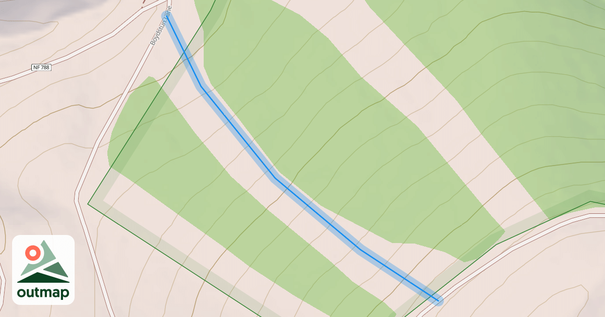 Map of Celebration