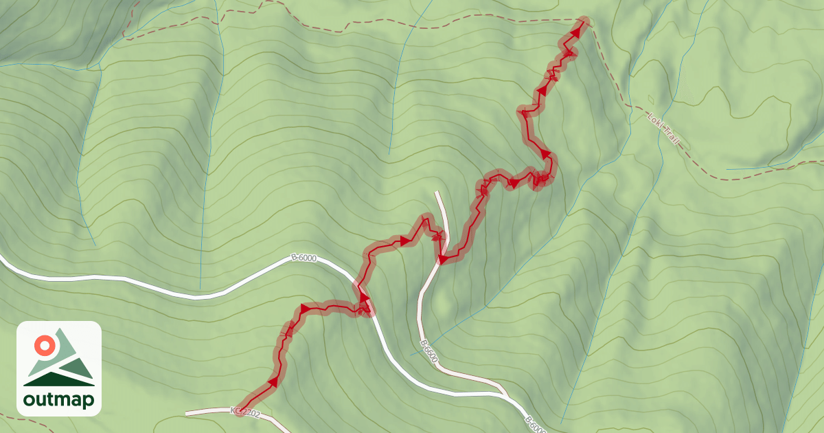 Map of Slick Jimmy (upper)