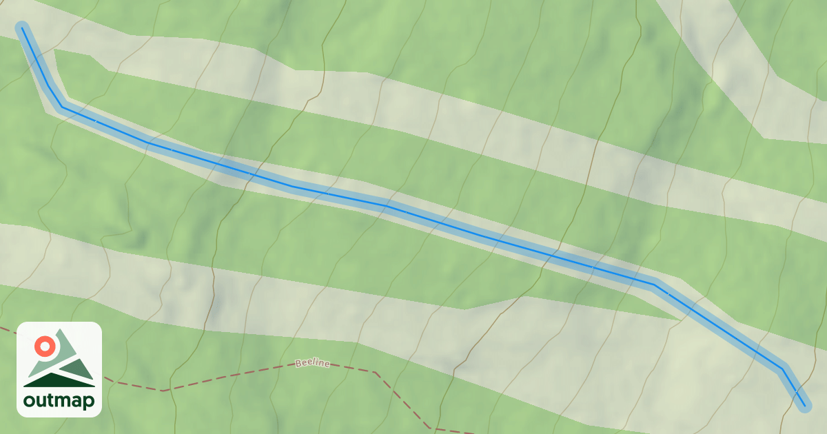 Map of Lower Sleighride(Park)