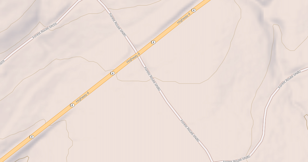 Map preview of USFS National Forest System Roads {0B79E607-D5C8-4726-8EC2-BB1F8F82F4E1}