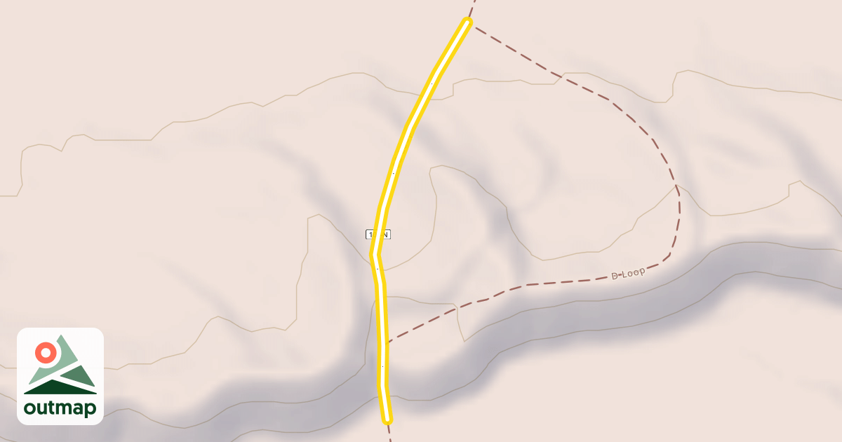 Map of S2 Loop