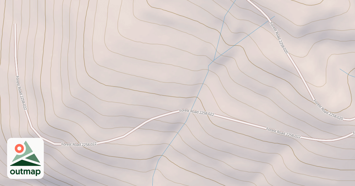 Map of USFS National Forest System Roads {71A0563C-0109-49C1-B8EB-02E3EEF595EA}