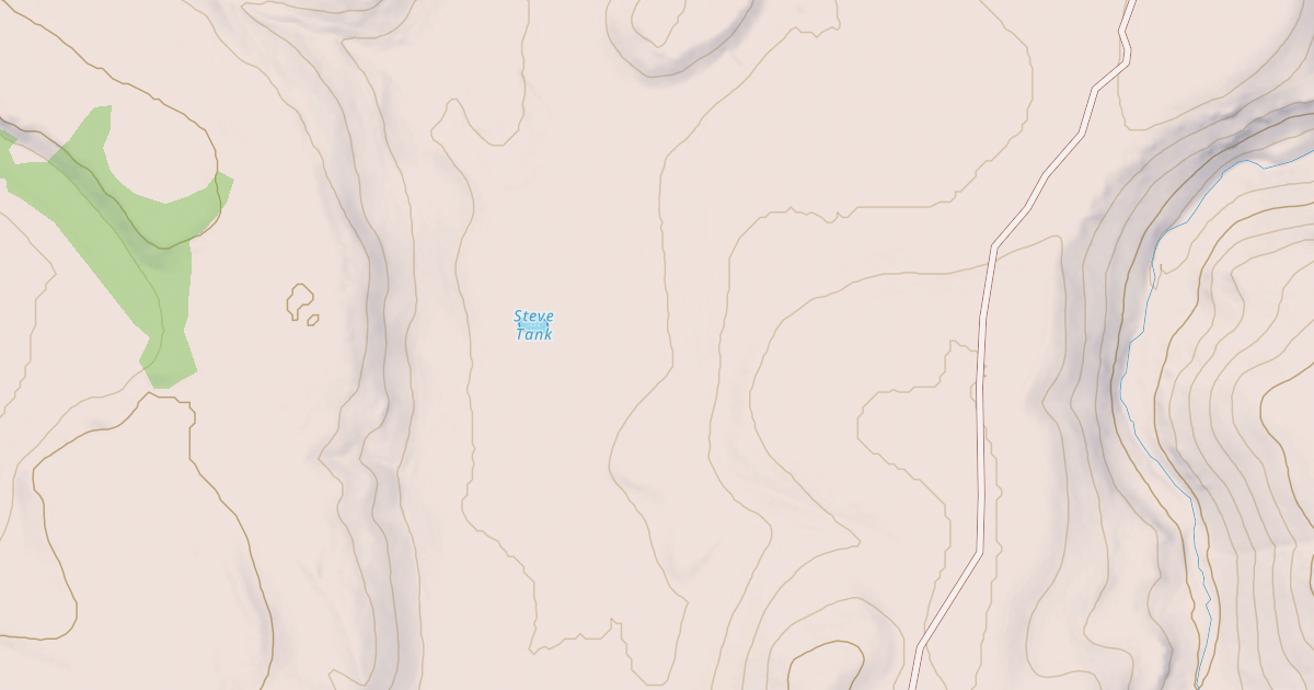 Map preview of USFS National Forest System Roads {6F9029B7-DD68-4BA8-9A3B-BBF373759F70}