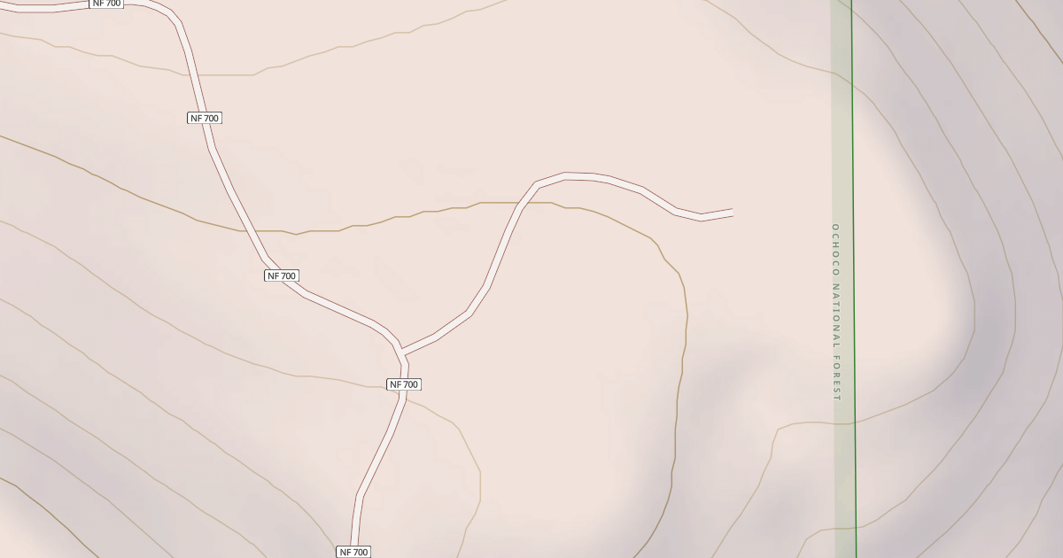 Map preview of USFS National Forest System Roads {50B34140-9FB5-4E15-9E78-2B37224C79E0}