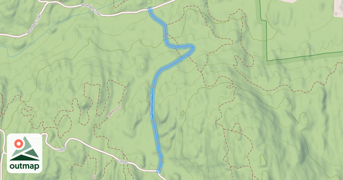 Map of Ned's Left Lung