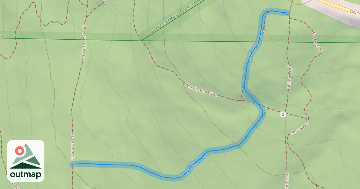Map of Broken Old Wood