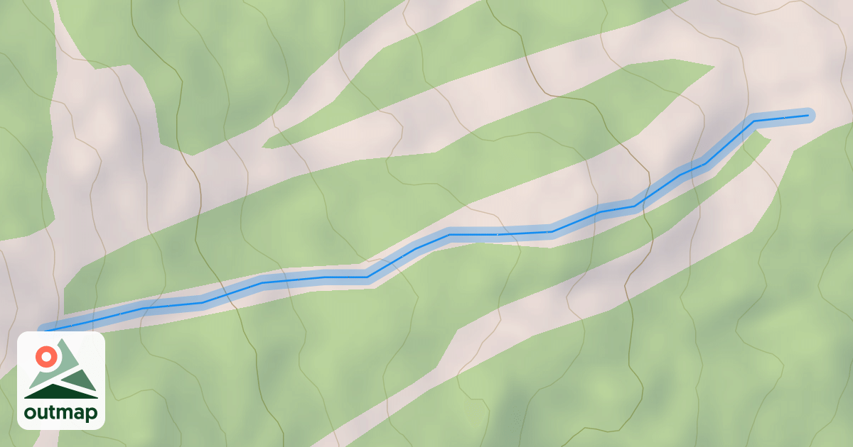 Map of White Bark
