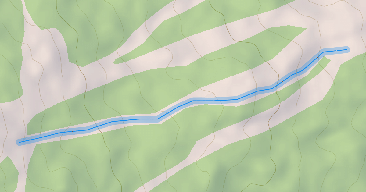 Map preview of White Bark