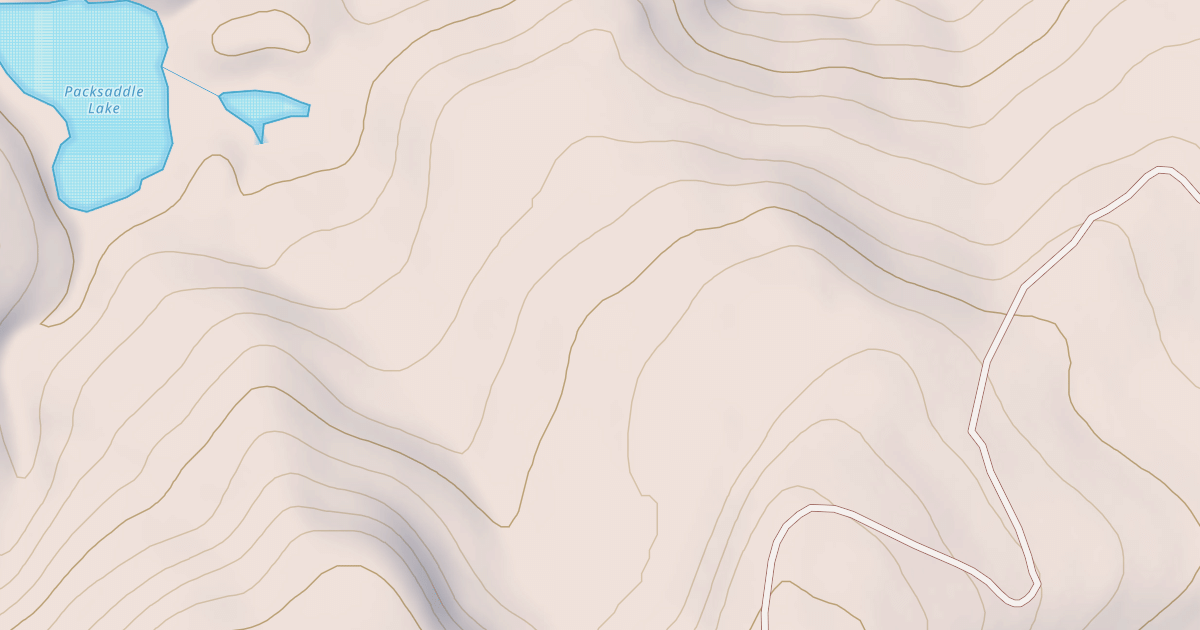 Map preview of SOUTH PACKSADDLE LAKE