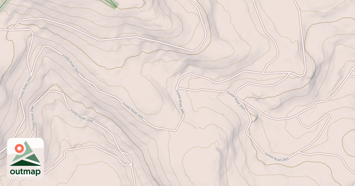 Map of USFS National Forest System Roads {4AF1DB93-1733-4894-8E53-193E57B7F1DE}
